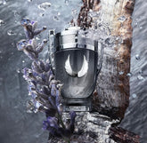 Invictus platinum 100ml