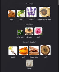 Xerjoff Alexandria II