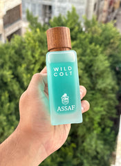 Assaf wild colt