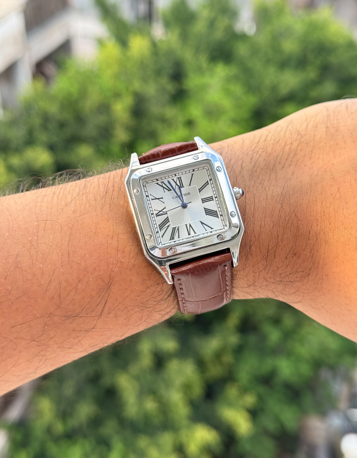 Small cartier leather
