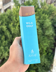 Assaf wild colt