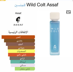 Assaf wild colt