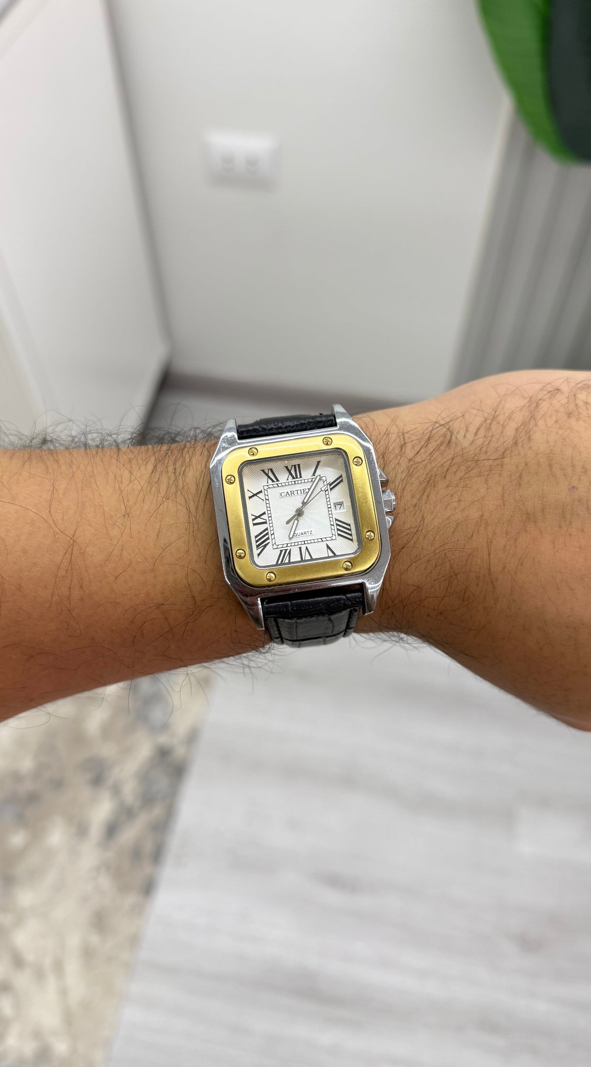 Cartier santos leather