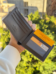 Lv brown wallet
